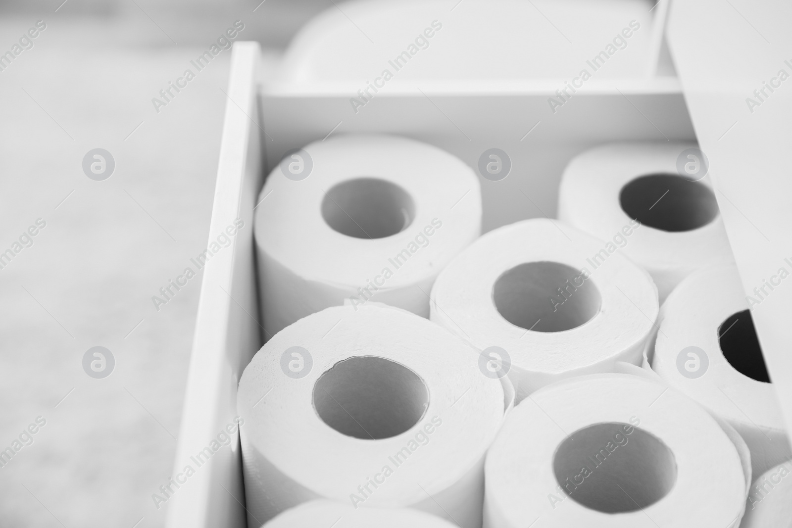 Photo of Open cabinet drawer with toilet paper rolls in bathroom