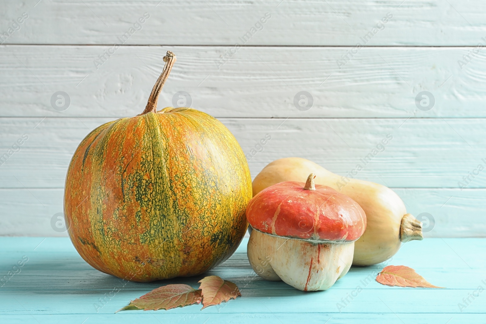 Photo of Different pumpkins on table against wooden wall. Autumn holidays