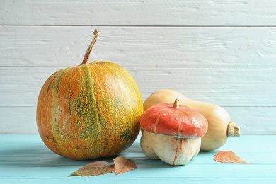 Photo of Different pumpkins on table against wooden wall. Autumn holidays