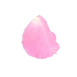 Photo of One pink rose petal isolated on white