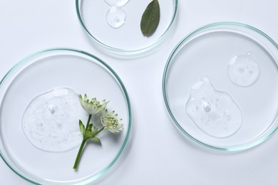 Photo of Petri dishes with samples of cosmetic oil and flowers on white background, flat lay