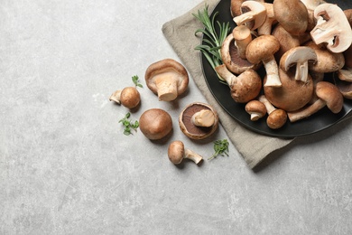 Flat lay composition with fresh wild mushrooms on light grey table. Space for text