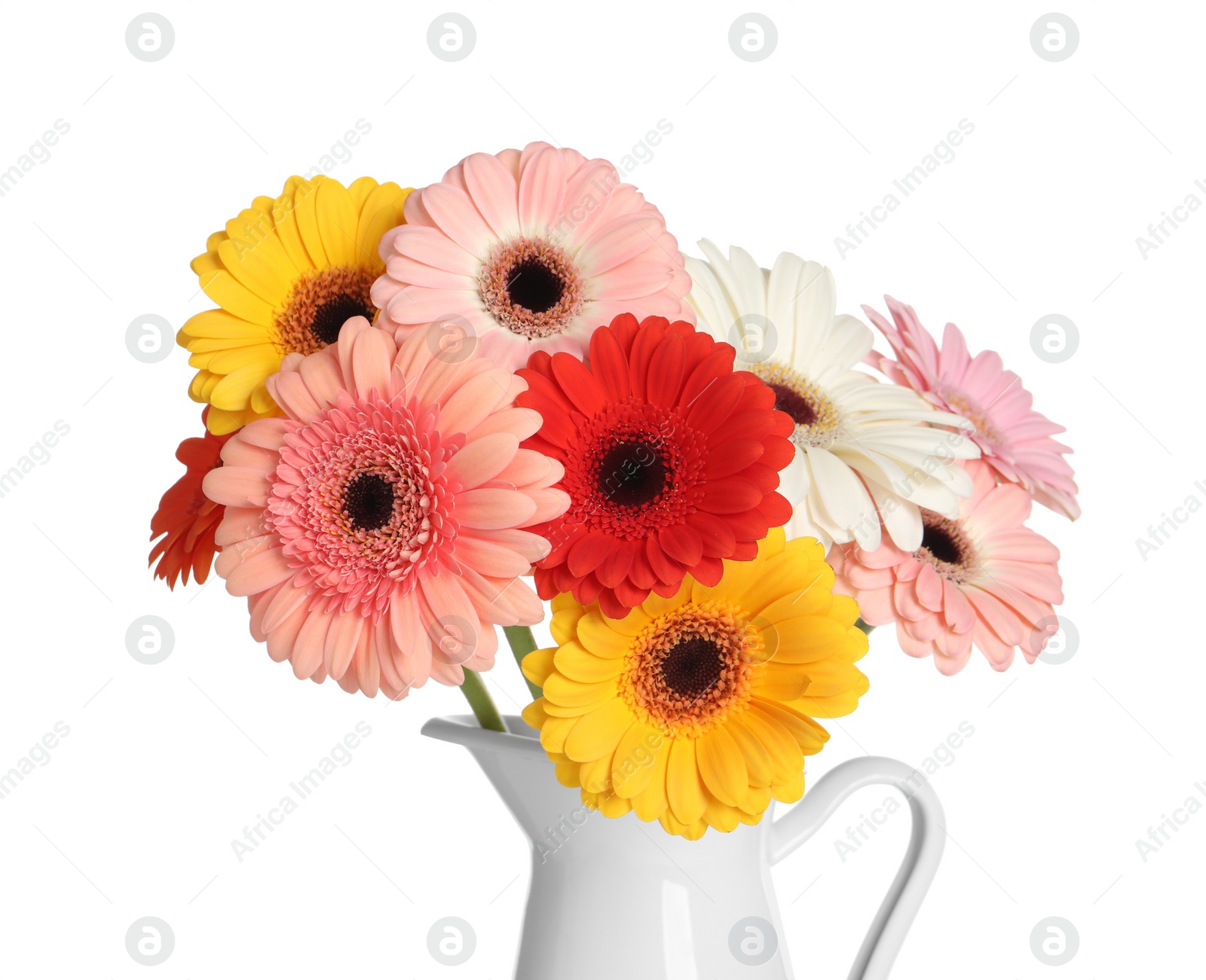 Photo of Bouquet of beautiful colorful gerbera flowers in vase on white background