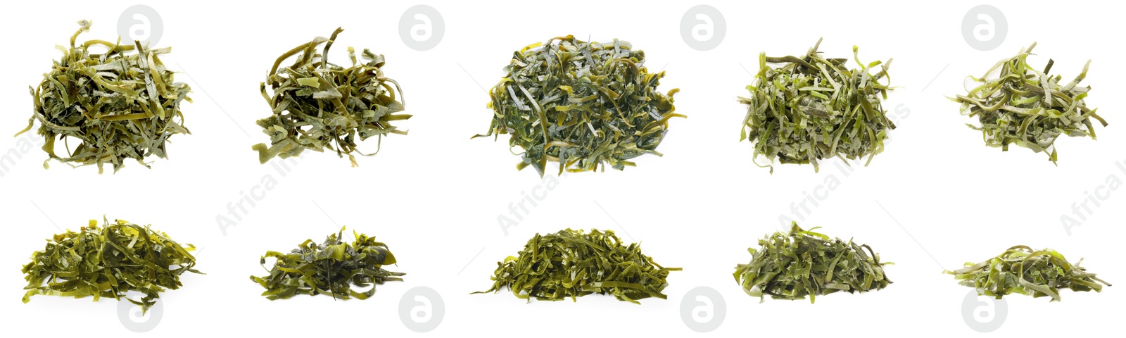 Image of Set with fresh laminaria (kelp) seaweed on white background. Banner design