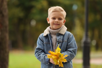 Photo of Portrait of happy boy with dry leaves in autumn park