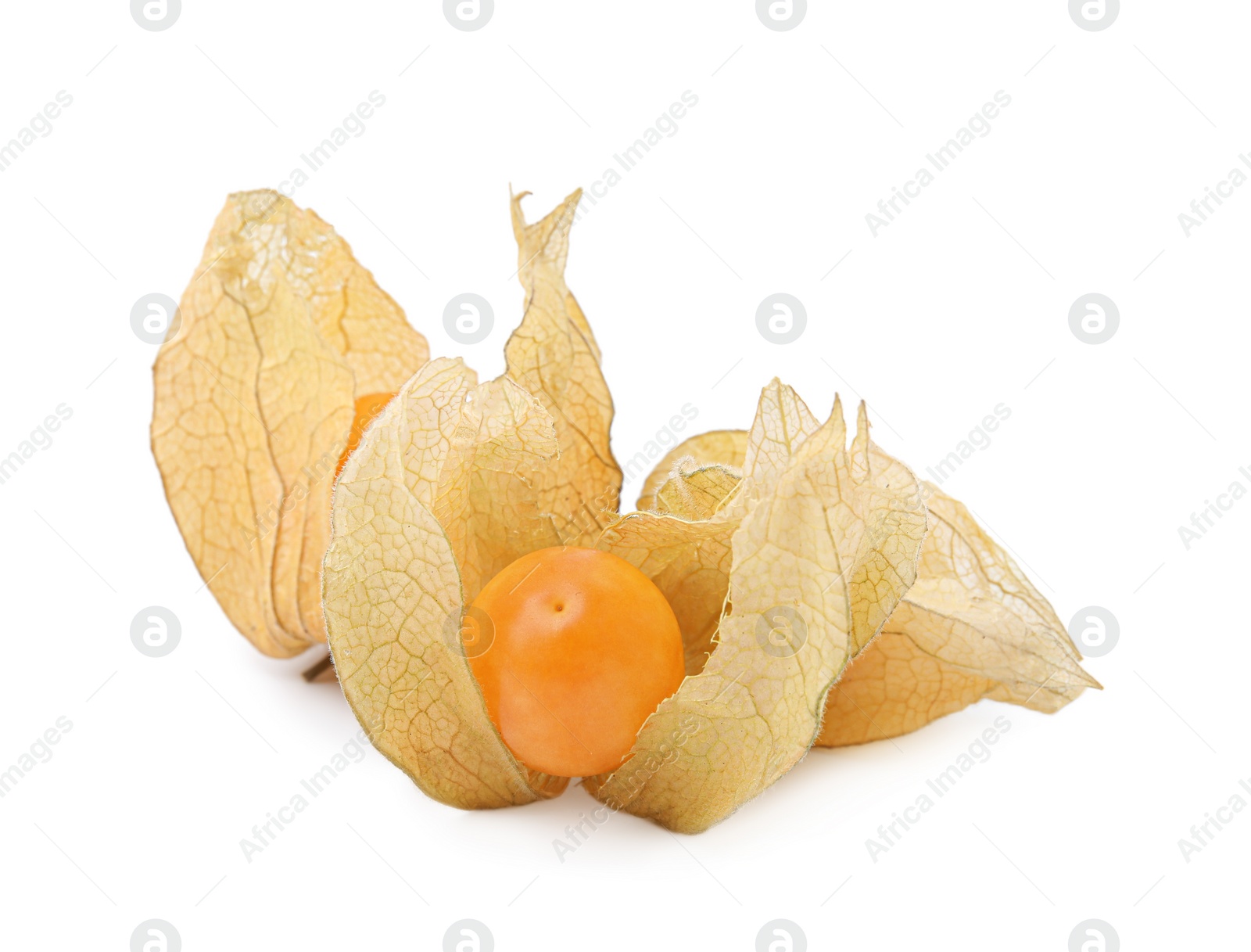 Photo of Ripe physalis fruits with calyxes isolated on white