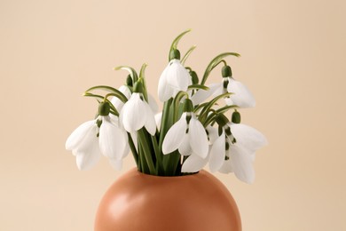 Photo of Beautiful snowdrops in vase on beige background, closeup