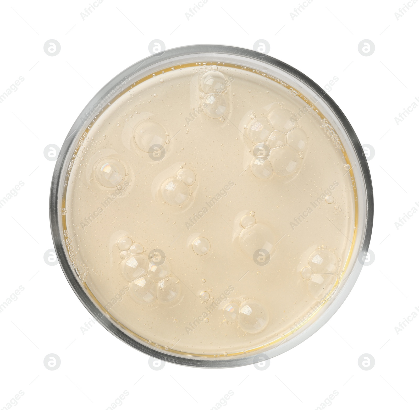 Photo of Petri dish with color liquid sample on white background, top view