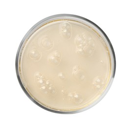 Petri dish with color liquid sample on white background, top view