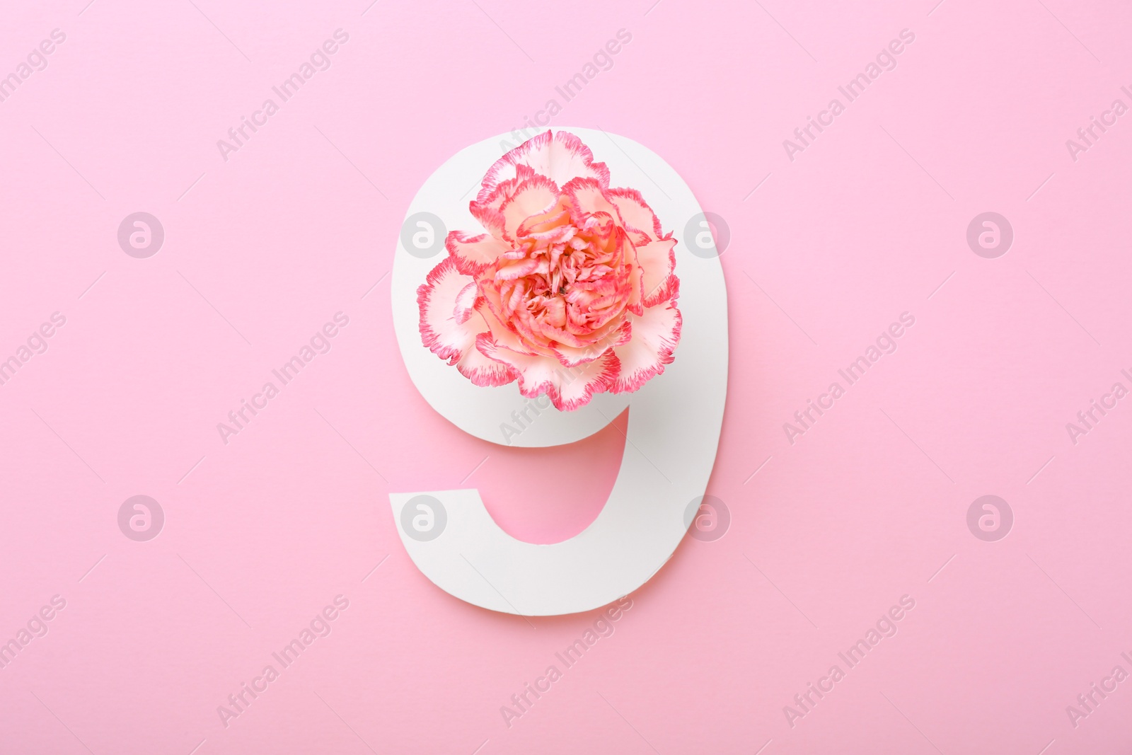 Photo of Paper number 9 and beautiful carnation flower on pink background, top view