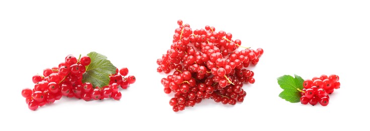 Image of Fresh red currants on white background, collection