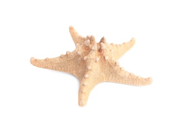 Photo of Beautiful sea star (starfish) isolated on white