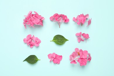 Beautiful hortensia flowers with leaves on turquoise background, flat lay