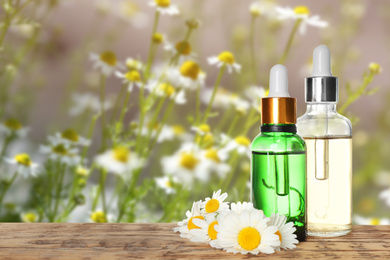 Bottles of essential oil and chamomile flowers on wooden table against blurred background. Space for text