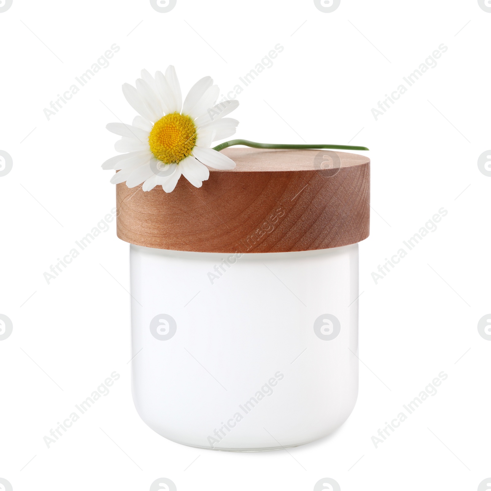Photo of Jar of hand cream and chamomile on white background