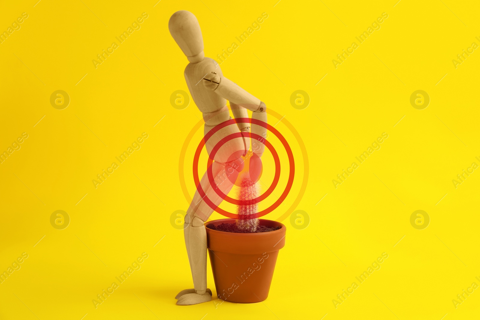 Image of Hemorrhoid concept. Wooden human figure and cactus on yellow background