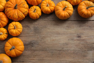 Photo of Thanksgiving day. Many ripe pumpkins on wooden table, flat lay and space for text
