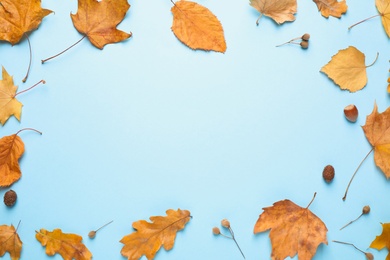 Flat lay composition with autumn leaves on blue background. Space for text