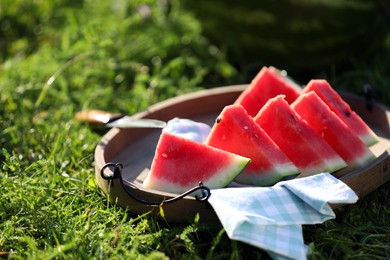 Slices of tasty ripe watermelon on green grass outdoors