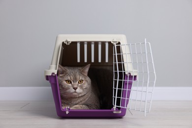 Photo of Travel with pet. Cute cat in carrier on floor near grey wall indoors