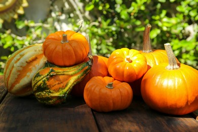 Photo of Many different ripe orange pumpkins on wooden table outdoors
