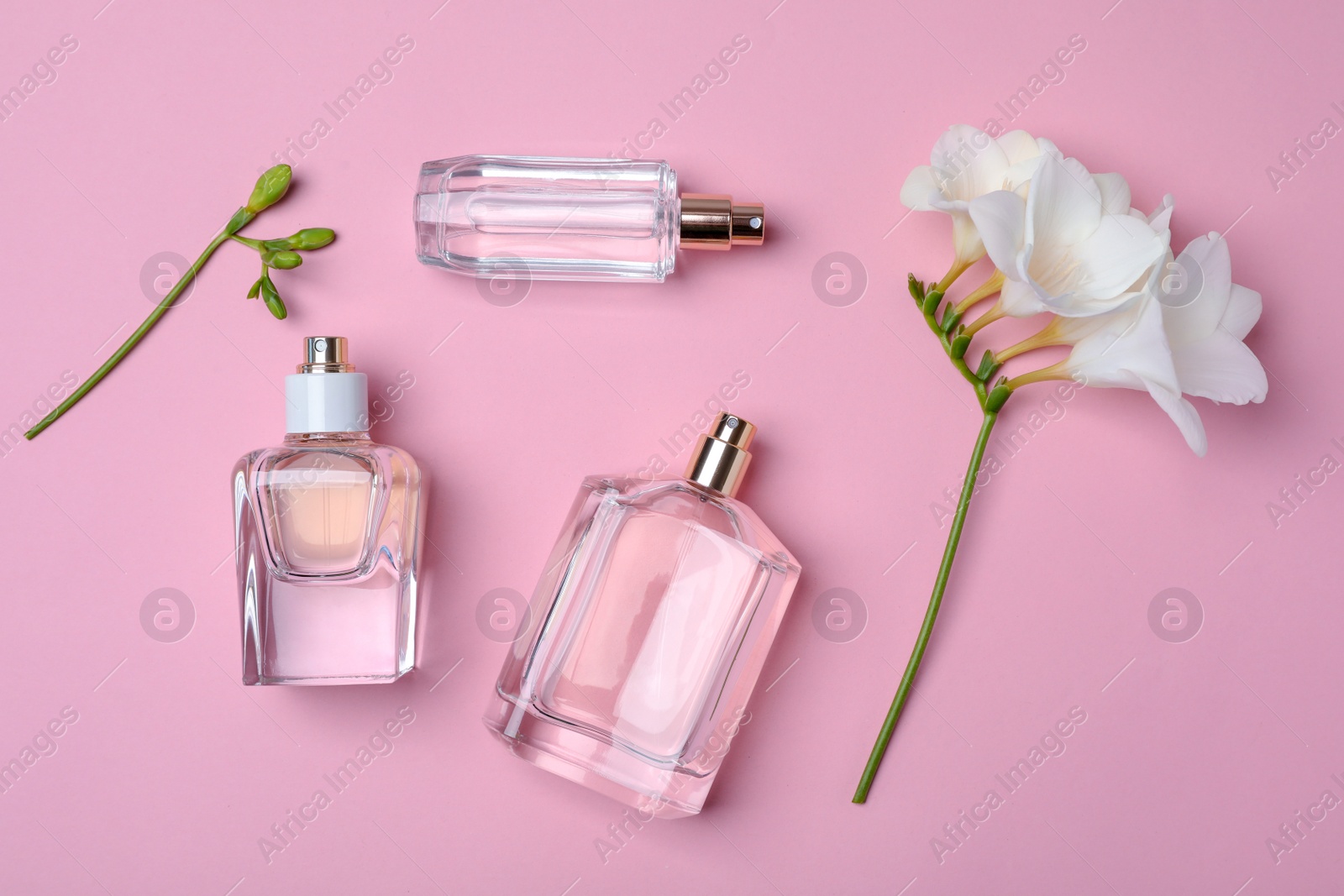 Photo of Bottles of perfume and flower on color background, top view