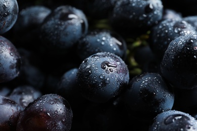 Bunch of fresh ripe juicy grapes as background. Closeup view