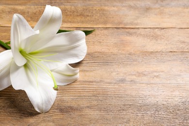 Photo of Beautiful white lily flower on wooden table, closeup. Space for text