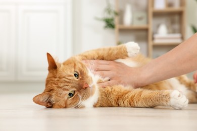 Photo of Woman petting cute ginger cat on floor at home, closeup