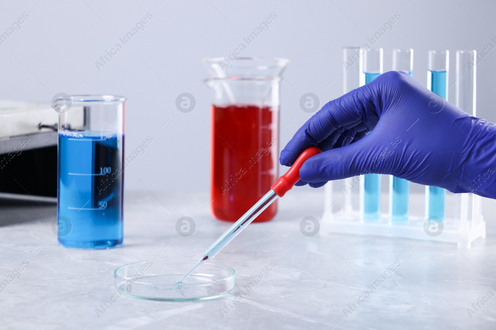 Photo of Scientist dripping liquid from pipette into petri dish at grey marble table, closeup