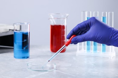 Scientist dripping liquid from pipette into petri dish at grey marble table, closeup