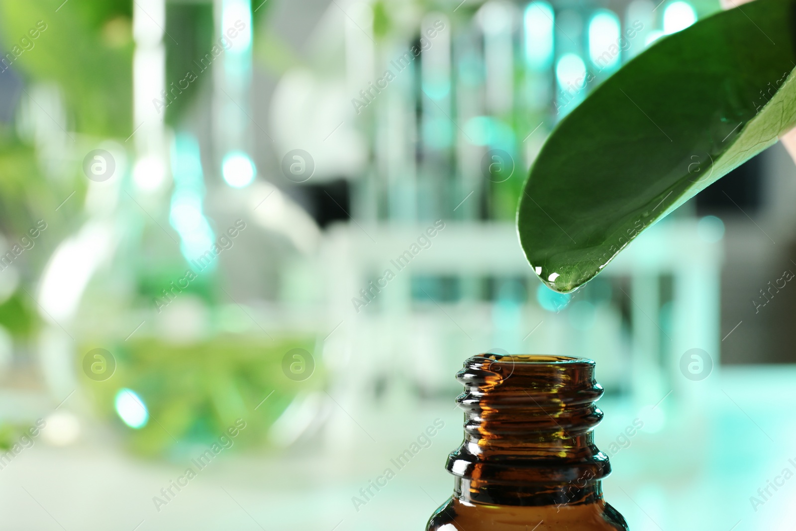 Photo of Clear drop falling from leaf into small bottle on blurred background, closeup with space for text. Plant chemistry