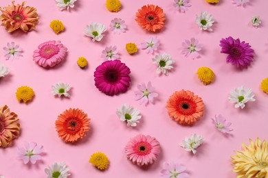 Photo of Different beautiful flowers on pale pink background