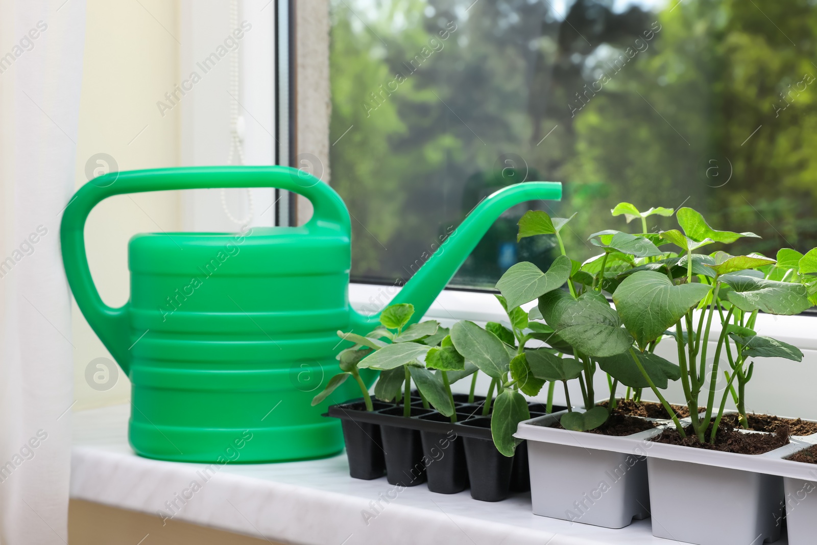 Photo of Seedlings growing in plastic containers with soil and watering can on windowsill indoors