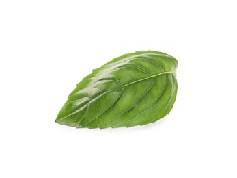 Photo of Fresh green basil leaf isolated on white