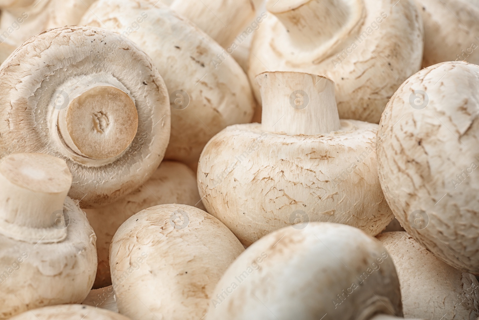 Photo of Fresh raw champignon mushrooms as background, closeup