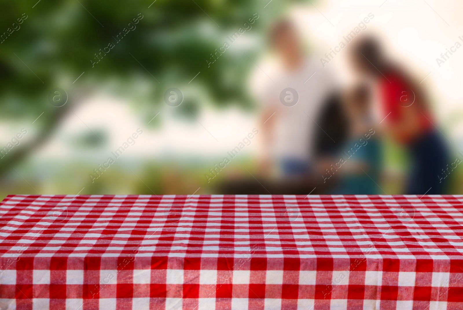 Image of Table with checkered picnic cloth outdoors on sunny day. Space for design