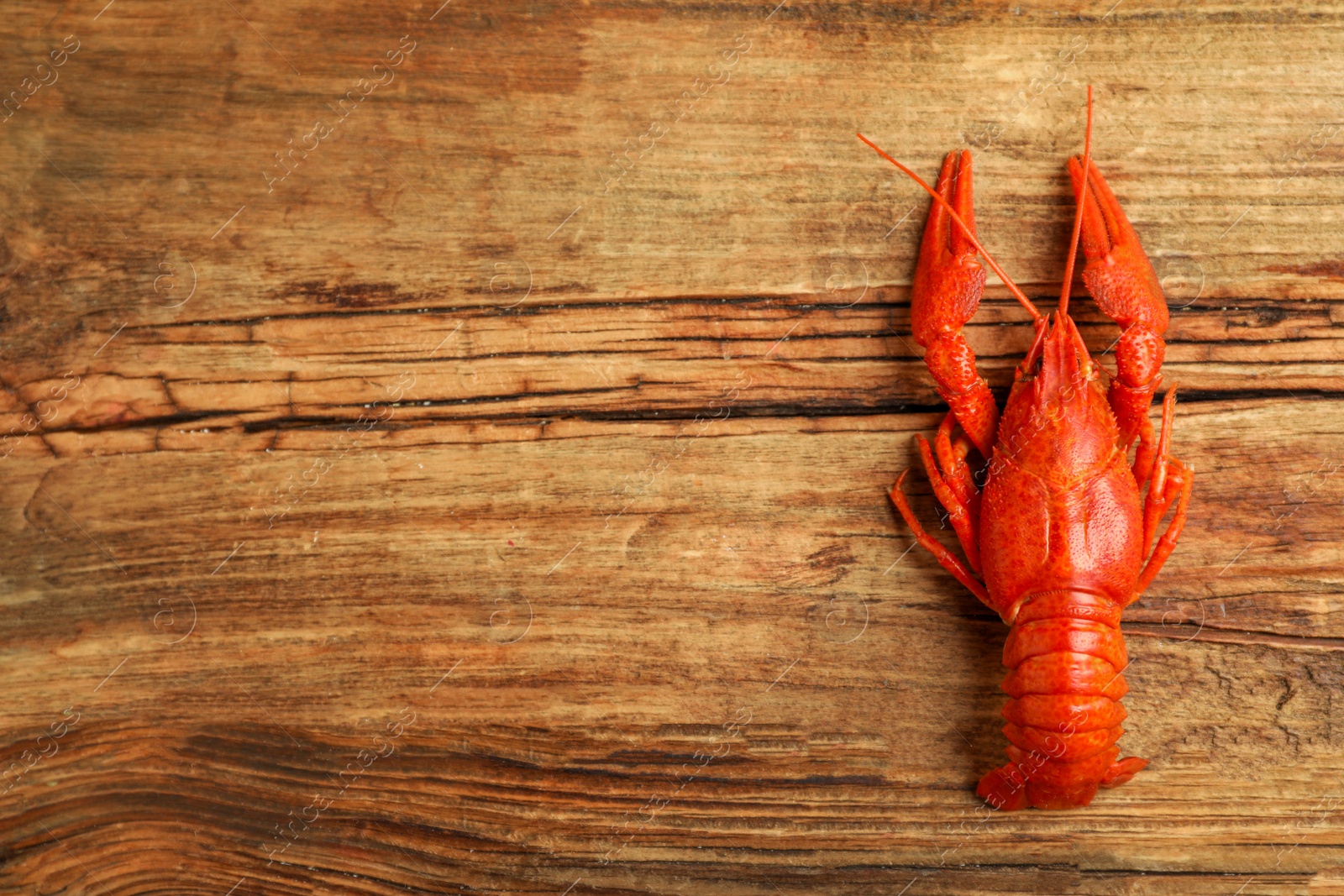 Photo of Delicious boiled crayfish on wooden table, top view. Space for text