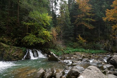 Photo of Picturesque view of beautiful stream flowing in forest