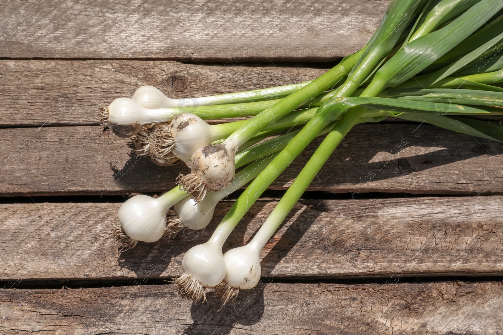 Photo of Fresh garlic bulbs on wooden background, top view