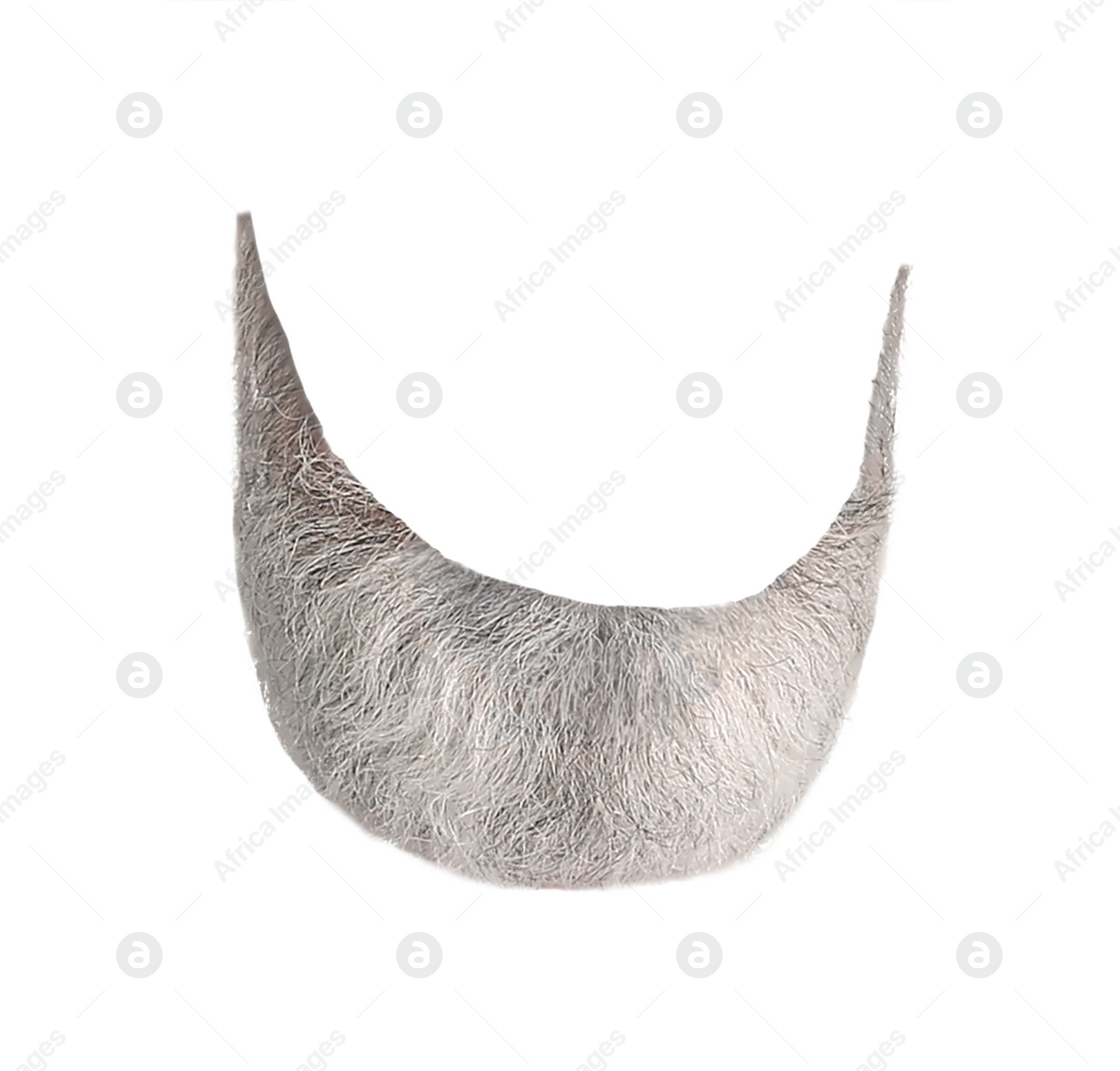 Image of Stylish gray beard isolated on white. Facial hair