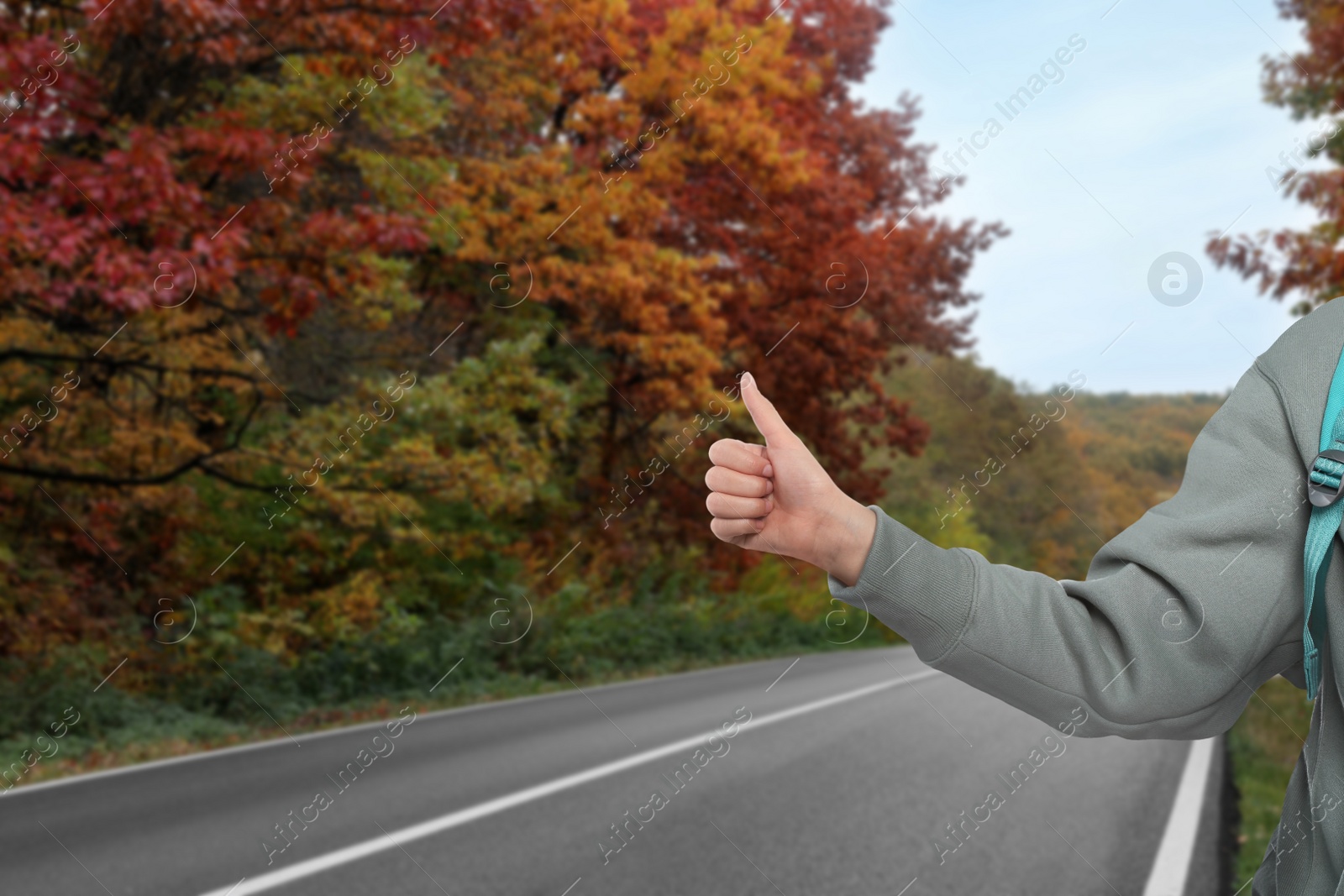 Image of Woman catching car on road, closeup. Hitchhiking trip