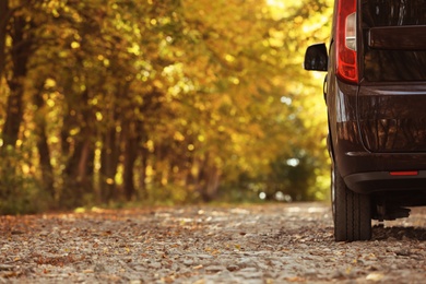 Car parked on country road near autumn forest. Space for text