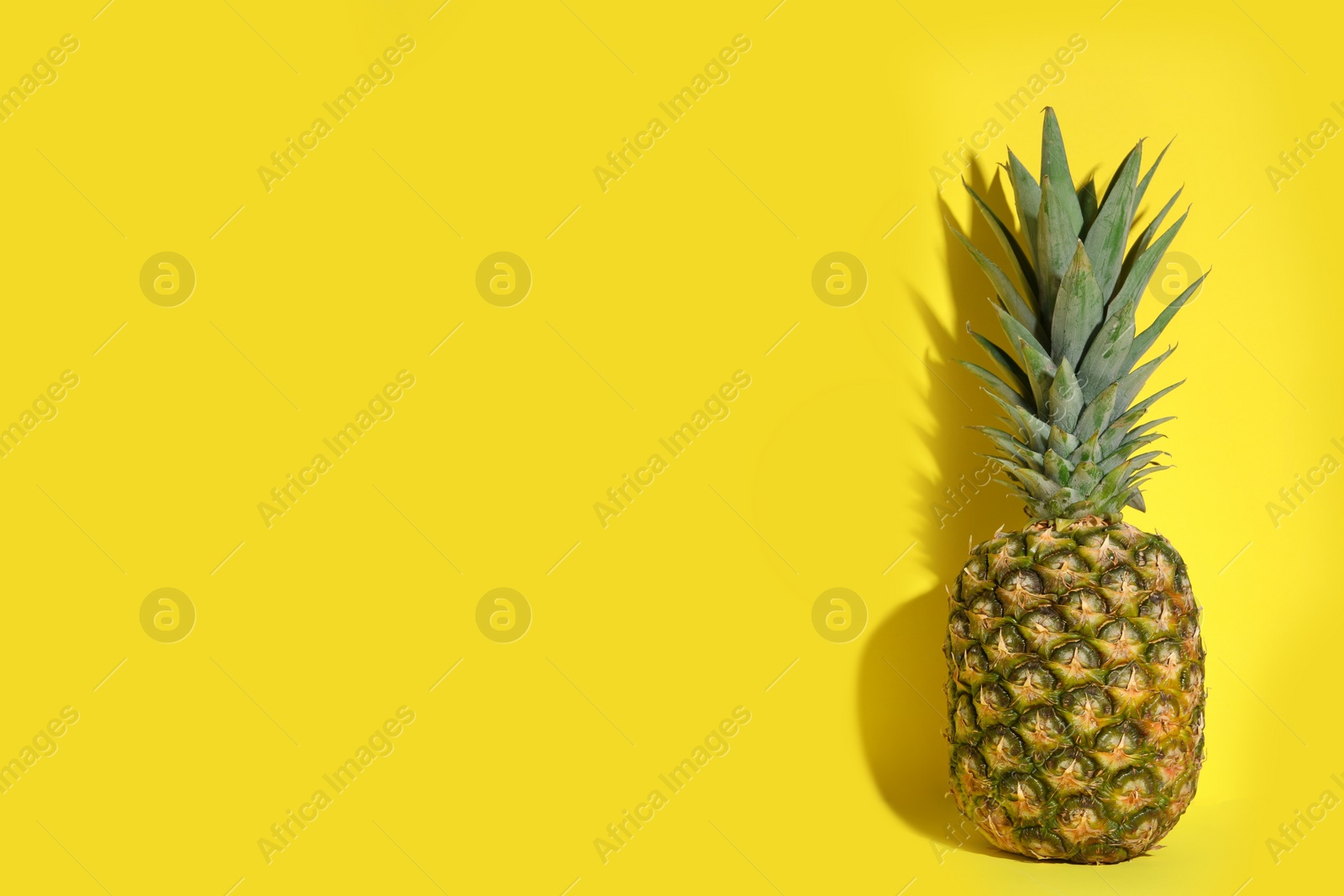 Photo of Whole ripe pineapple on yellow background, space for text