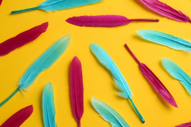 Photo of Many different bright feathers on yellow background, flat lay