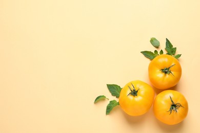 Fresh ripe yellow tomatoes and leaves on beige background, flat lay. Space for text