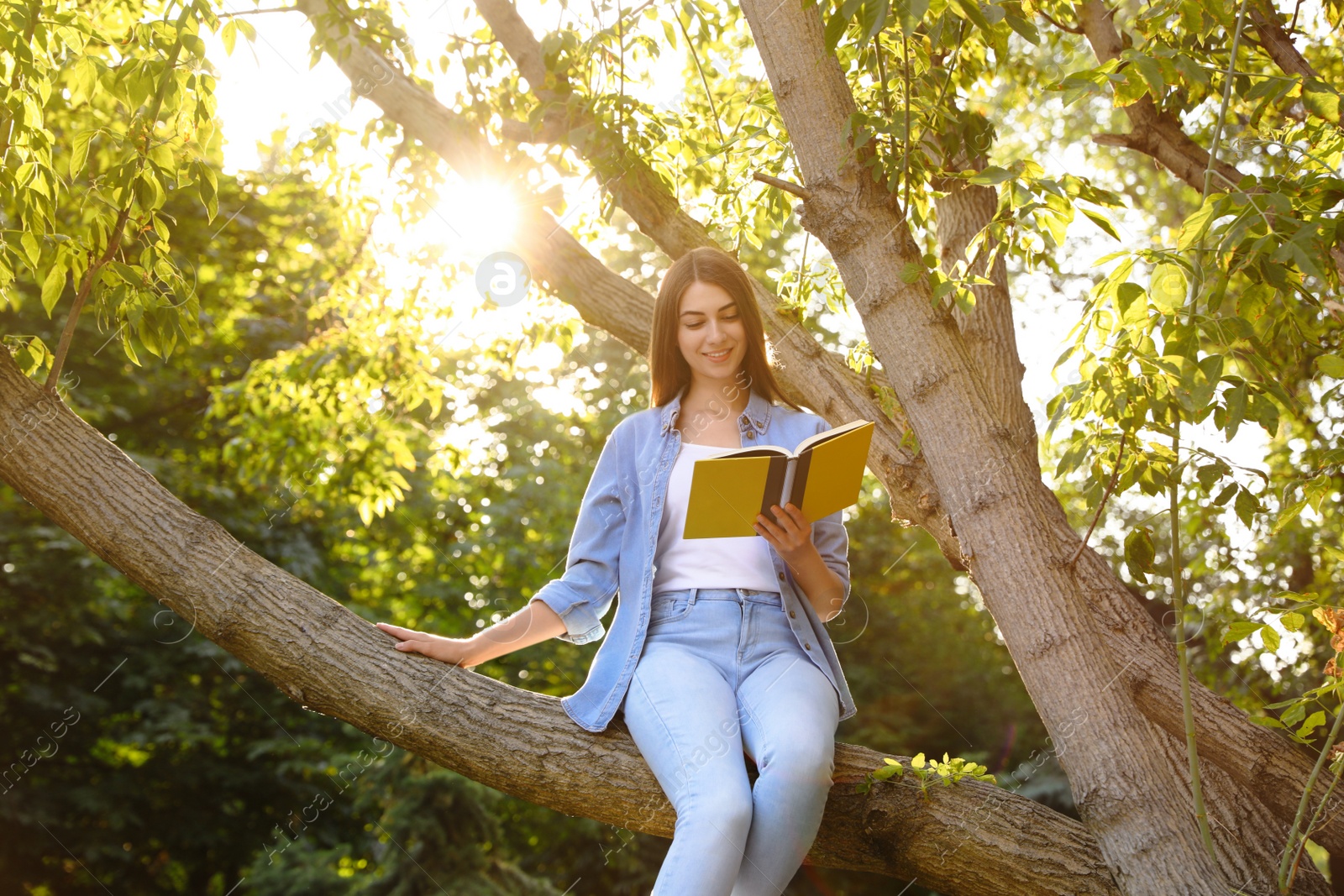 Photo of Young woman reading book on tree in park