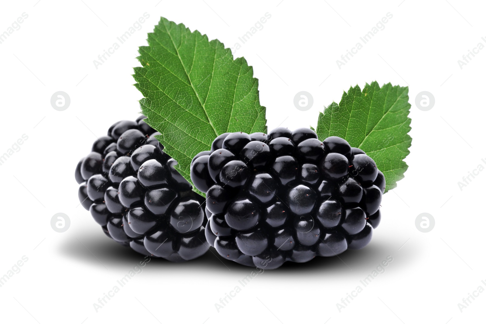 Image of Fresh ripe blackberries with green leaves on white background