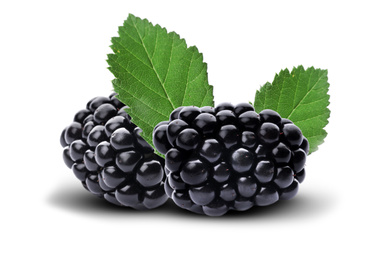 Image of Fresh ripe blackberries with green leaves on white background