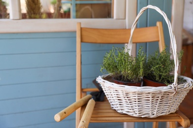 White basket with seedlings and gardening tools on wooden chair near house, space for text